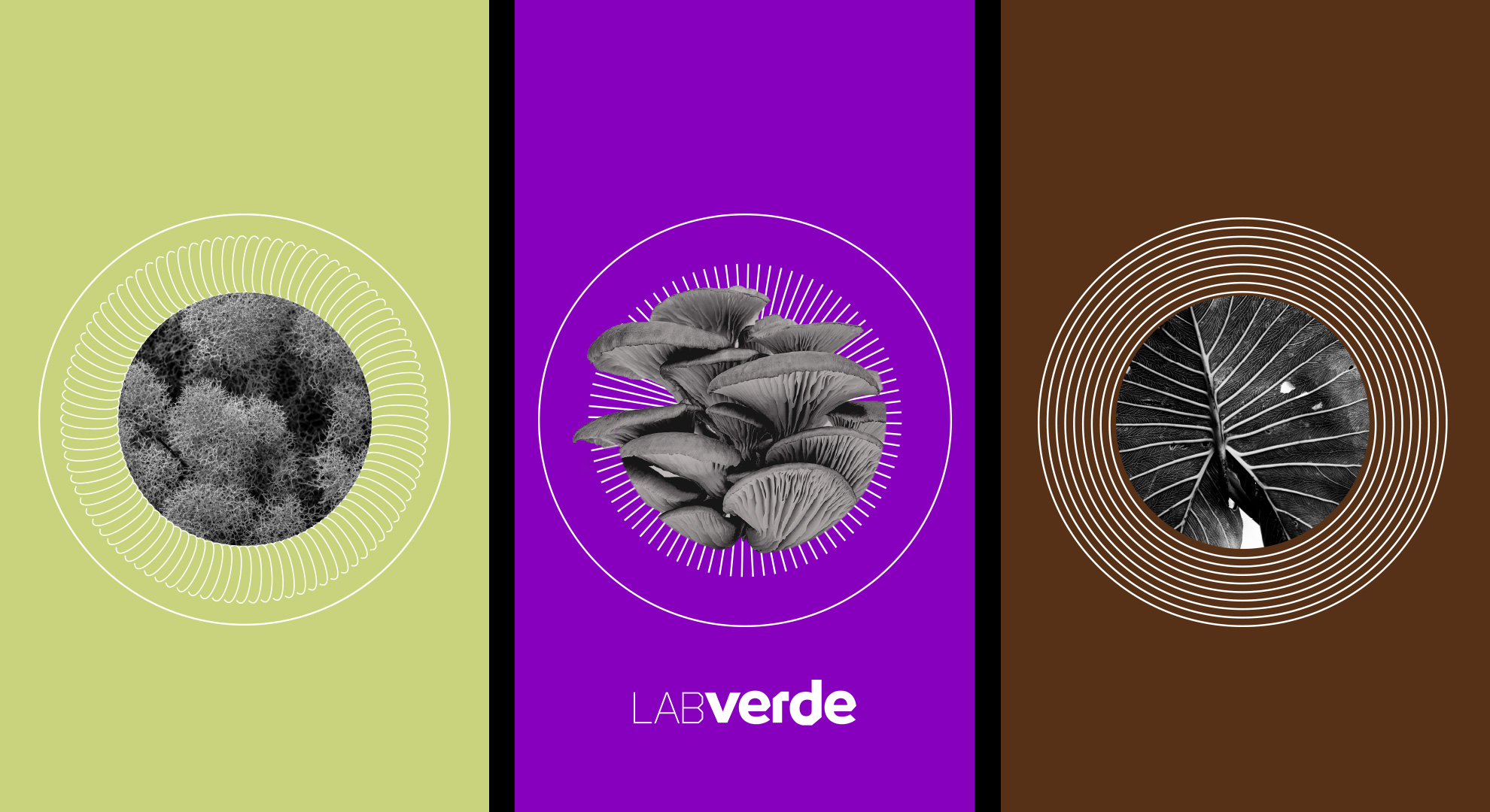 Lab Verde